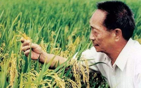 激荡40年 30位科技工作米乐M6 M6米乐者被授予“改革先锋”称号(图22)