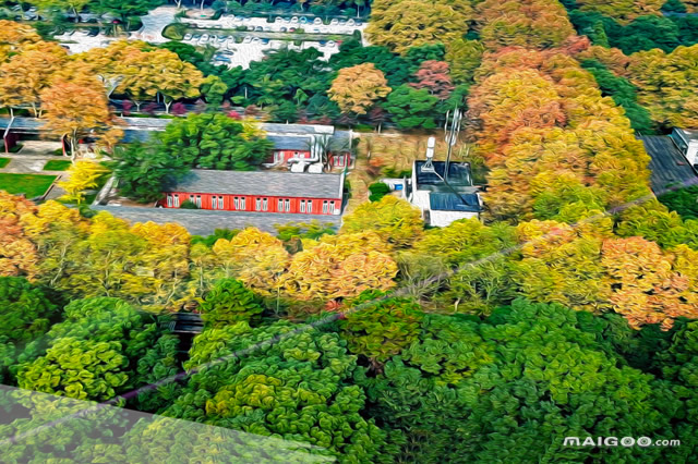 全国米乐 M6自动化专业大学排名(10篇)(图6)