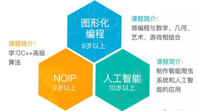 米乐 M6国内少儿编程培训机构该如何选择(图1)