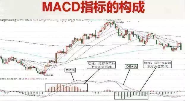 M6 米乐36岁海归女博士坦言：死啃“MACD二次金叉”买入法日进斗金(图2)
