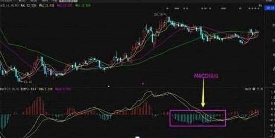 M6 米乐36岁海归女博士坦言：死啃“MACD二次金叉”买入法日进斗金(图4)