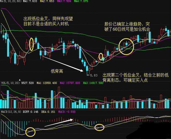 M6 米乐36岁海归女博士坦言：死啃“MACD二次金叉”买入法日进斗金(图10)