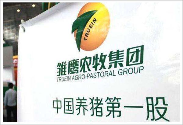 米乐 M68年前营收比对手多1亿如今市值被超千亿(图2)