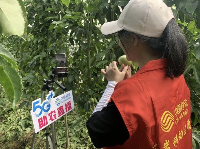 5G遭网友质米乐 M6疑国家几千亿打水漂！这个观点太滑稽(图3)