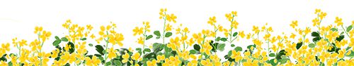 米乐 M6【新余招聘】10月10日高薪招操作工、熟练缝纫工、保安、作业员等热门岗位(图1)