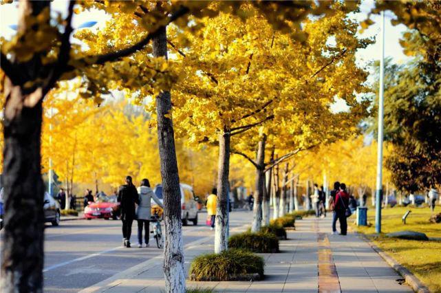 米乐M6 M6米乐重庆大学王牌专业：最新最热值得关注！(图2)