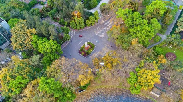 米乐M6 M6米乐重庆大学王牌专业：最新最热值得关注！(图4)