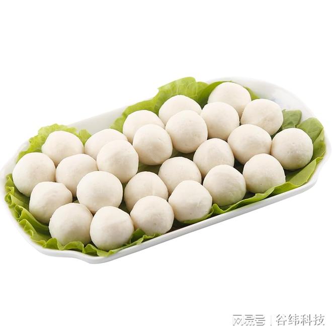 米乐M6 M6米乐自动化鱼丸加工流水线：提升产能保障品质新选择(图1)