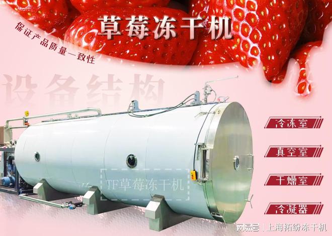 米乐M6 M6米乐上海拓纷草莓冻干机自动化生产线：引领食品加工业的创新与发展(图1)