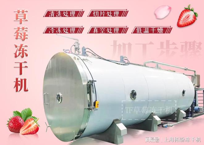 米乐M6 M6米乐上海拓纷草莓冻干机自动化生产线：引领食品加工业的创新与发展(图2)