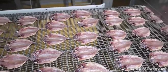 米乐M6 M6米乐大型水产鱼类深加工机械生产鱼头鱼片鱼丸自动化设备(图5)