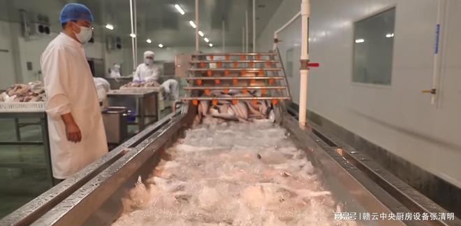 米乐M6 M6米乐大型水产鱼类深加工机械生产鱼头鱼片鱼丸自动化设备(图6)