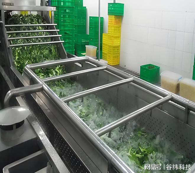 高效净菜加工设备：提升食品安全与生产效率的新选择米乐M6 M6米乐(图3)