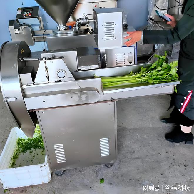 高效净菜加工设备：提升食品安全与生产效率的新选择米乐M6 M6米乐(图4)