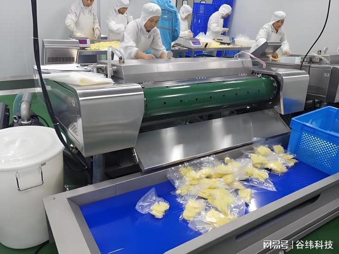 高效净菜加工设备：提升食品安全与生产效率的新选择米乐M6 M6米乐(图5)