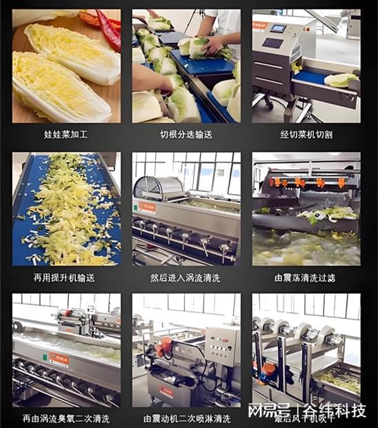 高效净菜加工设备：提升食品安全与生产效率的新选择米乐M6 M6米乐(图7)