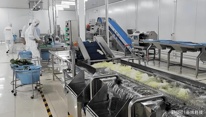 高效净菜加工设备：提升食品安全与生产效率的新选择米乐M6 M6米乐(图8)