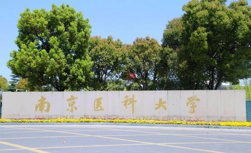 M6 米乐高考生不知道专业如何选这5类专业值得参考选择不后悔(图6)